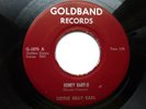 LITTLE BILLY EARL 45 'HONEY BABY-O' USA GOLDBAND KILLER 1958 ROCKABILLY VG++