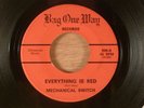 Mechanical Switch  Everything Is Red/Spongeman  CRAZY RARE  Texas Garage Psych