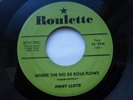 JIMMY LLOYD 45 'WHERE THE RIO DE ROSA FLOWS' USA ROULETTE 1957 ROCKABILLY VG++