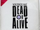 DEAD OR ALIVE YOUTHQUAKE EPIC 303P670 JAPAN OBI PICTURE VINYL VINYL LP