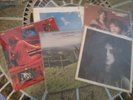 Lee Michaels - 6LPS- 5th,(Live2lp set),Tailface, NICE DAY FOR SOMETHING, SPACE 