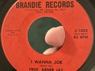 Invisible RARE Outsider Folk Soul 45 PROF ABNER JAY I Wanna Job BRANDIE G+ *