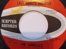 Shirelles -Last Minute Miracle    PROMO COPY, ORIGINAL