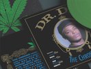 Dr Dre - The Chronic - 2LP GREEN VInyl *30th Anniv* LE 1191/2500 IVC *BRAND NEW*
