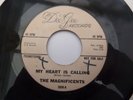 MAGNIFICENTS MY HEART IS CALLING DEE GEE DEMO EX+ COND NORTHERN SOUL MOD