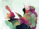 Mary Halvorson Amaryllis & Belladonna (Vinyl LP) 12