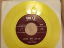 45 RPM THE HARP-TONES/LOVING A GIRL LIKE YOU/HIGH FLYIN BABY    BRUCE   VG++