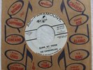 THE CAVEDWELLERS Sling My Hook Rare 1965 Garage Rock DJ 45  ABC PARAMOUNT #10735