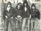 THE RAMONES THE RAMONES DEBUT VINYL ALBUM 1976  USA SIRE RECORDS