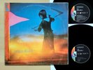 Amon Düül II - Yeti 2x LP GER Liberty LBS 83 359/60 X FOC / Krautrock Vinyl VG++