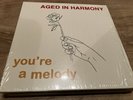 Vinyl Record Modern Soul Aged In Harmony -You’re A Melody +2 and Booklet