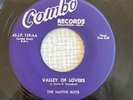 Doo Wop 45 The Native Boys - Laughing Love/Valley Of Lovers COMBO