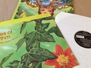 Shades Of Rhythm - Sweet Sensation - Sound Of Eden 2x12” Hardcore Vinyl