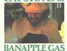 CAT STEVENS--RAREST PICTURE SLEEVE + 45--(BANAPPLE GAS)--PS--PIC--SLV