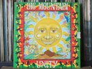 BIG MOUNTAIN  UNITY  ORIGINAL GLORIOUS  FIRST PRESS  HARD TO FIND 1994 VINYL  LP