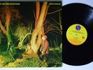 ECHO AND THE BUNNYMEN Crocodiles SIRE LP VG+ 1st press