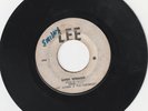 ROCKSTEADY 1968 LEE LABEL THE UNIQUES 