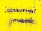 Fuckbook [LP] by Yo La Tengo (Vinyl, Mar-2009, Matador record label)