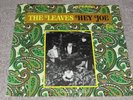 THE LEAVES / Hey Joe OG 1st PRESS USA LP 1966 GENUINE SURREY WLP PROMO PSYCH GEM