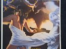 MELIDAN- LOST IN THE WILD VINYL RARE Hair metal 1989
