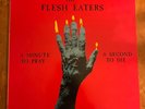 The Flesh Eaters: A Minute to Pray a Second to Die: 1981 1st Pressing--Ruby