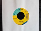 90S 45 Chris Isaak - Wicked Game / Wicked Game On Reprise Records