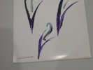 the Mountain Goats - vinyl - Come Come To The Sunset Tree (#790) Demos Outtakes