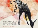Wild Animals by Trampled by Turtles (Record, 2014)