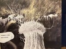 RADIOHEAD - THE PYRAMID SONG 12” VINYL AS NEW