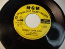 Northern Soul 45 Ronnie Savoy 