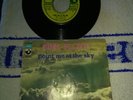 Pink Floyd Point me at the sky Rare italian vinyl singlesC006-05459 1968