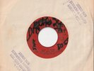RARE DEEP SOUL CALYPSO PUSSY CAT LABEL LYNN TAITT & THE COMETS 