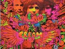 Cream Disrail Gears 1st Uk