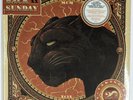 Taking Back Sunday – Twenty Limited Edition Color Vinyl Record 2xLP Compilation