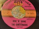 Wild Garage Surf Stomper 45 The Contenders Rise & Shine CHATTAHOOCHEE EX HEAR