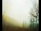 Music From Calendars by Future Sound of London (Record, 2021)