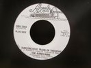 7A mint 45 RARE garage PROMO The AARDVARKS subconcious train / unicorn man