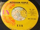 Mind-Blowing Garage Psych Fuzz Acid 45 ESB Mushroom People IN Promo HEAR