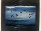 T.TOYODA PLUTO SUITE 
