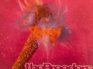 The Breeders - Divine Hammer - Original 1993 10' Rare  Vinyl Single