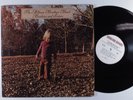 ALLMAN BROTHERS BAND Brothers And Sisters CAPRICORN LP VG+ with insert z