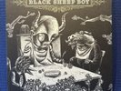 Black Sheep Boy by Okkervil River (Record, 2005)