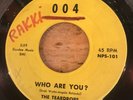 HEAR 1966 GARAGE PUNK - NORMAN PETTY - THE TEARDROPS - WHO ARE YOU? - 004