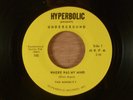The Minority  Where Was My Mind/High Flyer RARE  Psych, Garage 1969 Hyperbolic