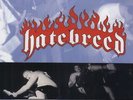 Satisfaction Is the Death of Desire by Hatebreed (Record, 2012)