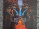 DISMEMBER - Like An Everflowing Stream LP 1st Press