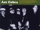 Turbonegro – Ass Cobra Yellow Translucent Color Vinyl LP Record