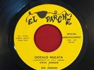 Steve Jordan El Parche Gozalo Mulata. Rare Tejano Soul/Funk