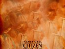 Agnes Obel - Citizen Of Glass (Vinyl LP - 2016 - EU - Original)