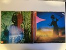 Amon Düül Yeti 1970 Platten sehr gut erhalten (Double LP)